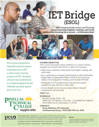 IET bridge